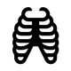 Rib cage
